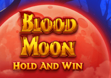 Bruce bet Casino App